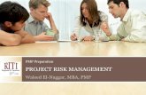 Pmp risk management
