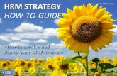 HRM Strategy - How to develop and deploy a HRM Strategy for your Company. A Manual for HR and non-HR Professionals