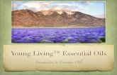 Power point introduction to essential oils class 2