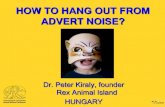 ICAWC 2013 - How to Hang Out From Advert Noise - Peter Kiraly