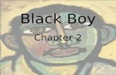 Black Boy Chapter 2