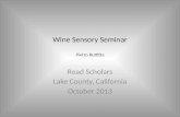Wine Sensory Seminar - intermediate level