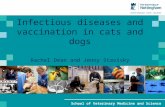 ICAWC 2011: Rachel Dean and Jenny Stavisky - Feline and Canine Infectious Diseases