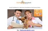 Email marketing for veterinary practitioners and animal clinics