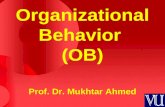 Organizational behaviour   mgt502 power point slides lecture 1