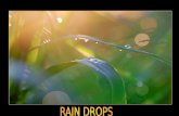 145 Raindrops