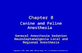 8. Canine and Feline Anesthesia