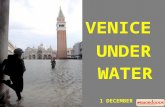 Acqua Alta A Venezia