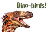 0554896 Dino-birds!