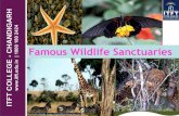 ITFT - Famous wild life sancturies