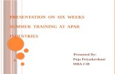 Presentation on six weeks summer training at apar