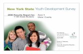 Zone 4 Youth Survey