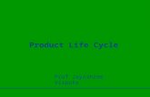 Product life cycle1_ppt