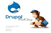 Drupal and mail chimp