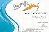 Agile Adoption