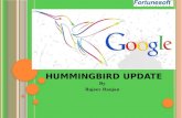 What should do after Humminbird update
