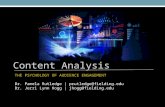 Content Analysis Overview for Persona Development