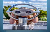 Glimpse into compassion fatigue