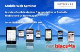 Netbiscuits & device fragmentation