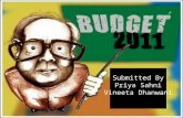 Budget opedia1-110128022308-phpapp01