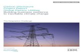 Cdp utilities report