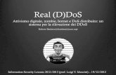 DDoS and Hacktivism (italian)