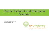 Carbon footprint and Ecological Footprint