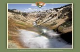 NostalgicOutdoors™- Yellowstone National Park Resources and Issues Handbook