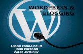 Wordpress & blogging