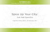 Spice Up Your City: Add OpenGov