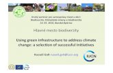Using green infrastructure to address Global Warming