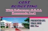 Secl cost budgeting