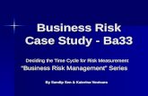 Business Risk Case Study Ba33