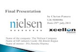 The nielsen company s.i.p report