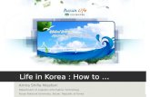 Life in korea