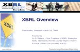 xbrl overview by  liv watson