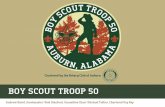 March 2014 State-of-the-Troop Report to the Auburn Rotary Club