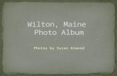 The Wilton Group Photo Album