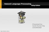 Natural language processing (Python)