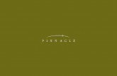 Pinnacle -Company Profile