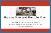A Brief Explanation About Fannie Mae and Freddie Mac