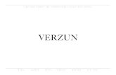 Verzun Company Profile 2012