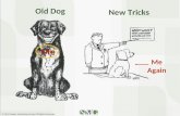 Old Dog Had To Learn New Tricks With Strategy Tactics & Social Mkt At High Point Market
