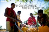 US Gender Programming: Where Will the Money Go?