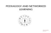 Peeragogy and networked learning