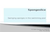 Spongeslice, swinging sponges in the swimming pool