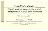 Buddha's Brain: The Practical Neuroscience of Happiness, Love and Wisdom