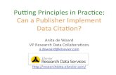 Data CItation Principles in Practice
