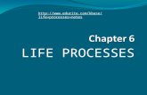 c.b.s.e grade 10 Life processes ppt.