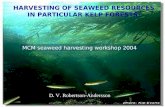 HARVESTING OF SOUTH AFRICAN SEAWEED RESOURCES IN PARTICULAR KELP FORESTS: